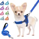 Small Dog Harness and Leash Set — Blue / XXS ( Chest 11.5'' ~ 15'')