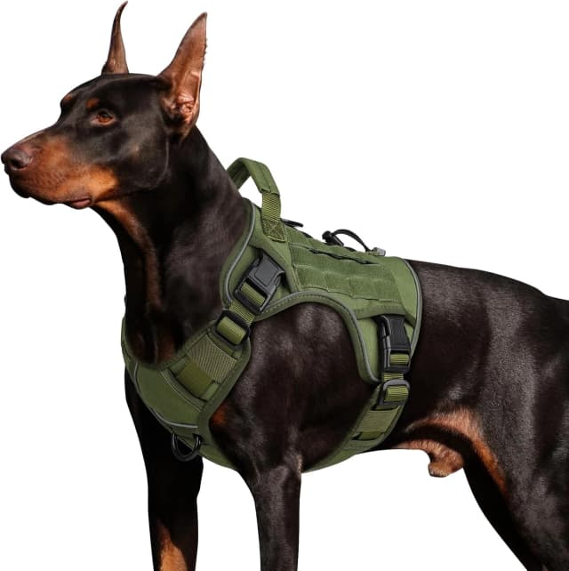 Tactical Dog Harness for Large Dogs
