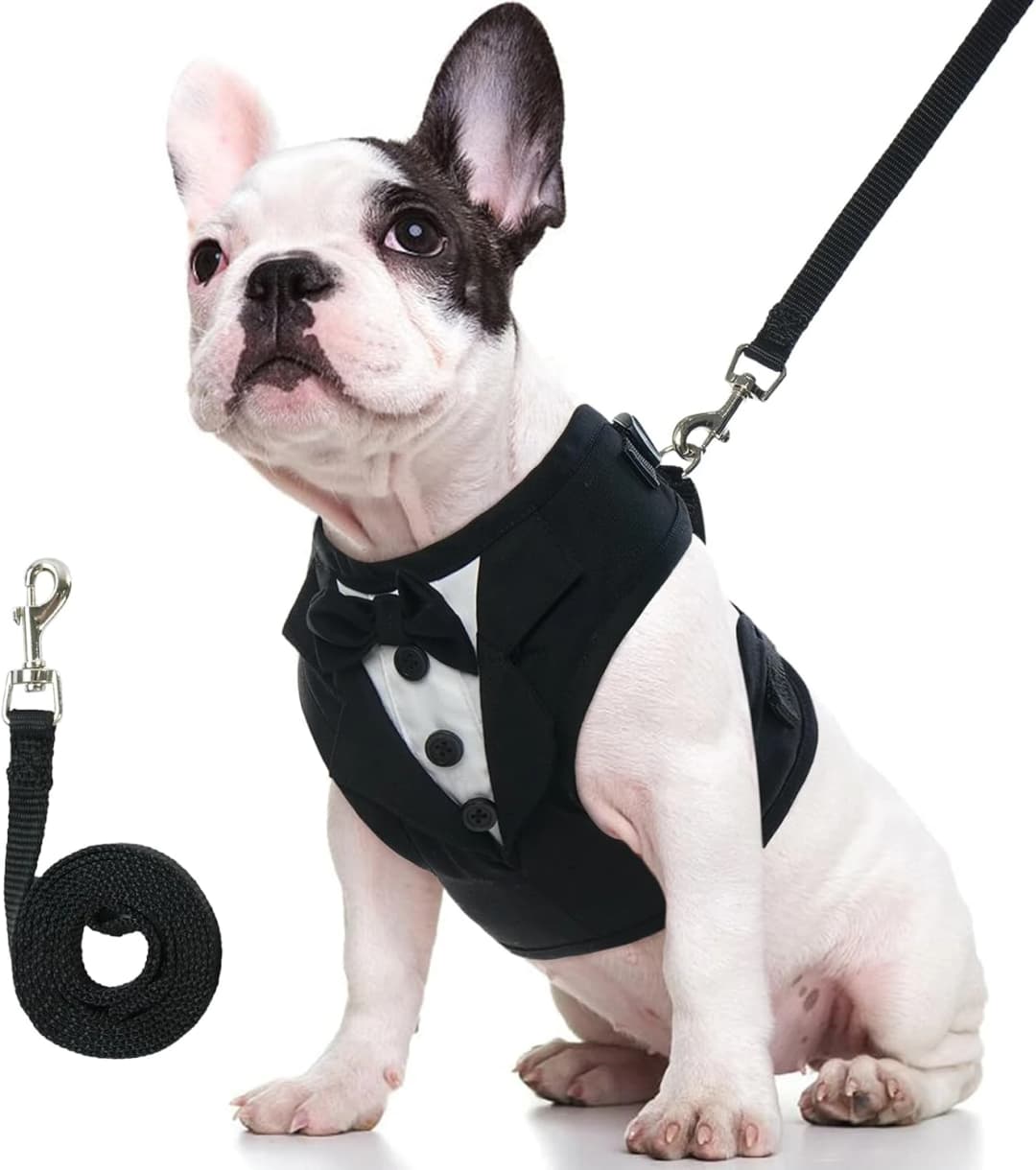 Dog Tuxedo Harness — Pet Harness No Pull for Small and Medium Dogs — Medium / Gentleman Black