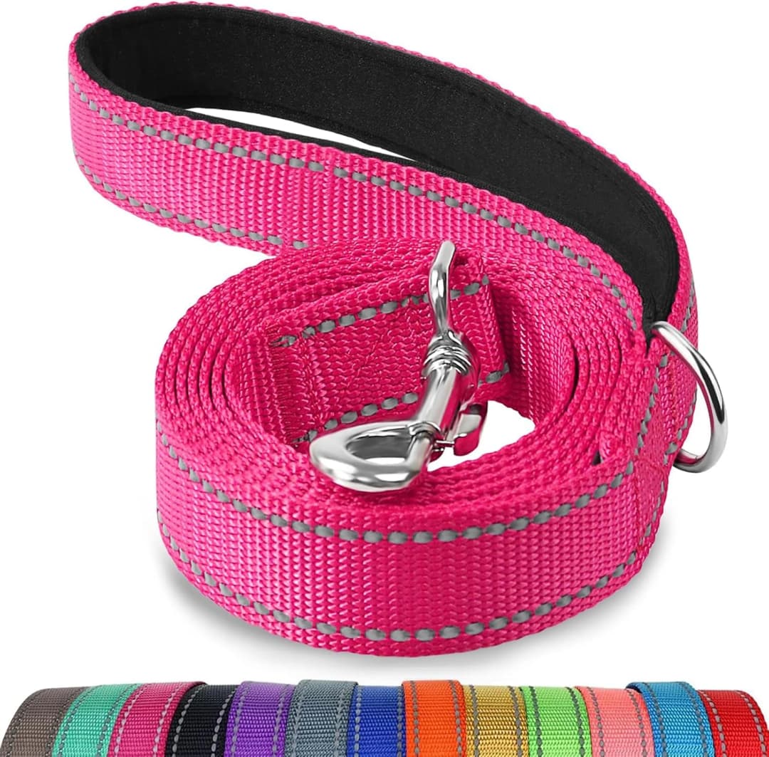Reflective Dog Leash for Medium and Large Dogs — 6 ft Standard / Hotpink