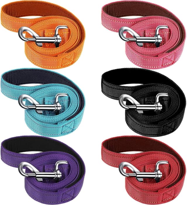 6 Pack Dog Leashes for Large Dogs — Reflective Nylon
