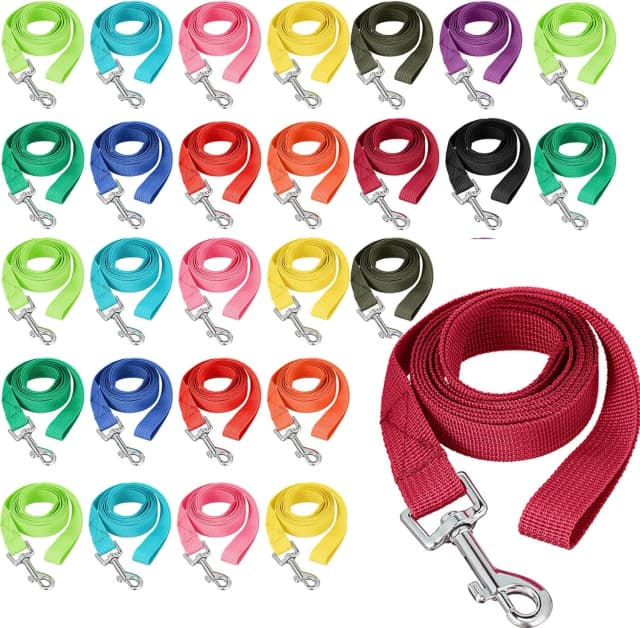 24 Pack Nylon Dog Training Leash Bulk 5 ft