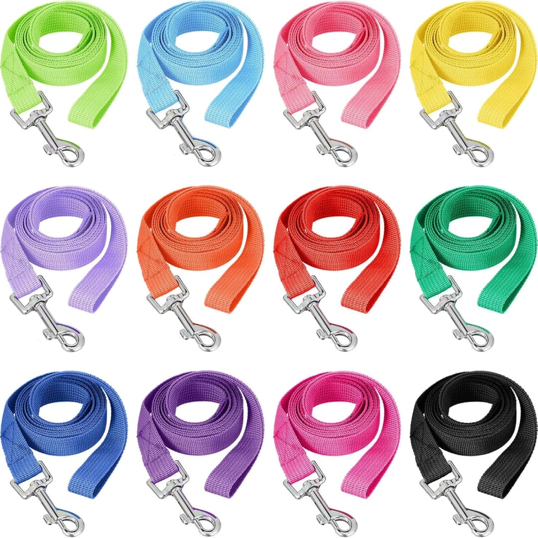 12 Pack Nylon Puppy Training Leash 5ft Pet Dog Leash — Modern Colors