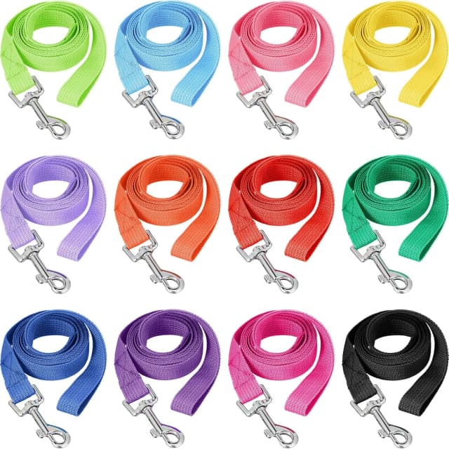 12 Pack Nylon Puppy Training Leash 5ft Pet Dog Leash