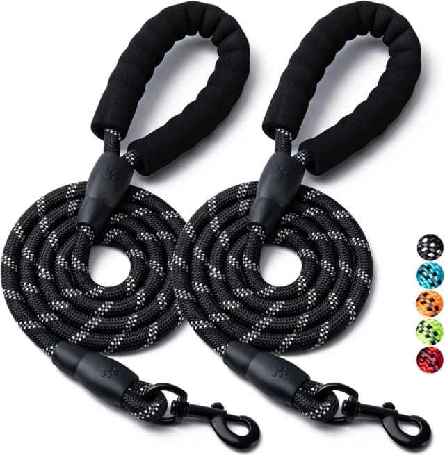 2 Pack Dog Leash — Heavy Duty Nylon Rope Pet Leashes