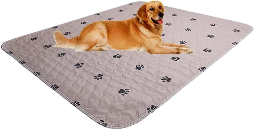 Washable Dog Pee Pads with Puppy Grooming Gloves — 48x48 Inch (Pack of 2)