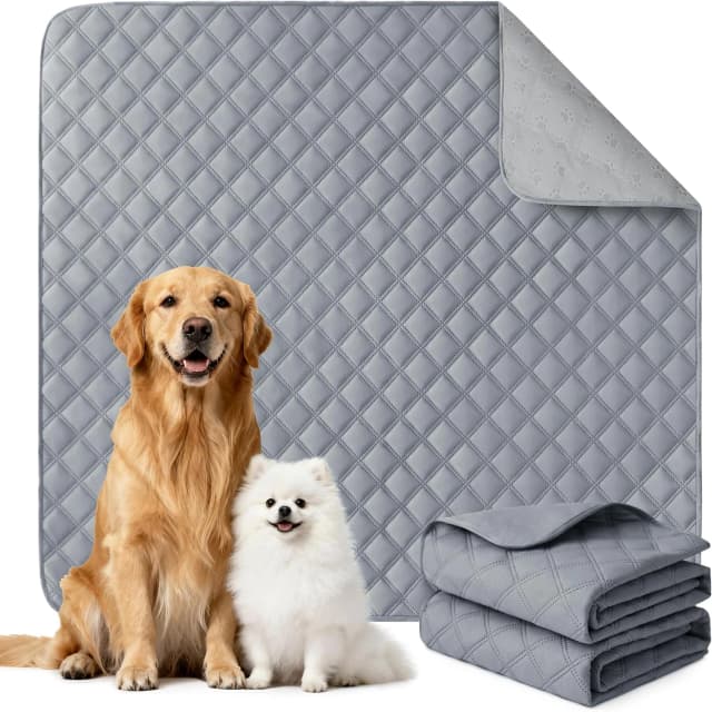 Reusable Washable Pee Pads for Dogs Large/Extra Large 36'' x 41'' 2 Pack — Absorbent Pet Puppy Dog Training