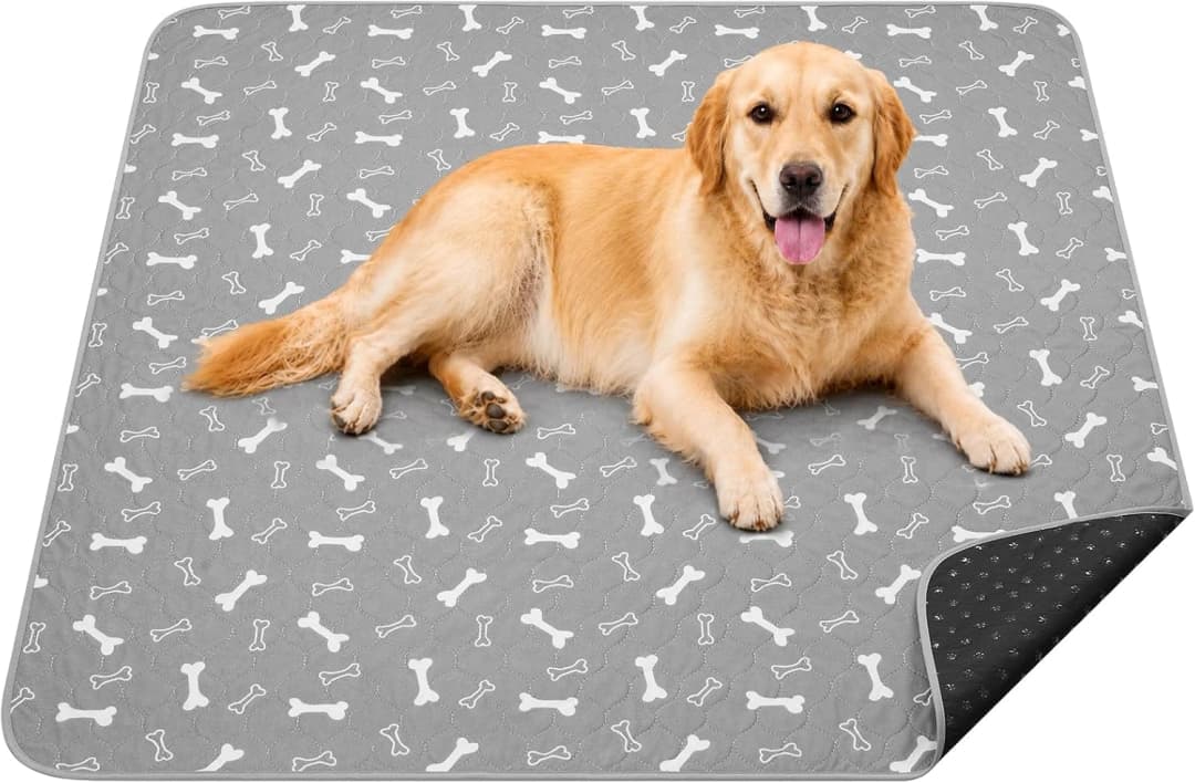 Washable Pee Pad for Dogs — 2 Pack Large Reusable Puppy Pads — Gray / 36*48 Inch (Pack of 2)