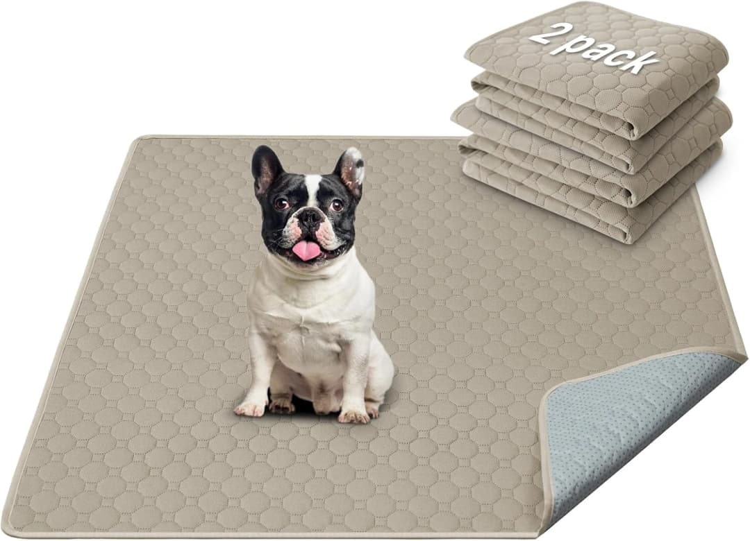 Premium Washable Pee Pads for Dogs 2 Pack Super Absorbent 100% Waterproof Reusable Non-Slip Quilted Puppy — Beige / 36"x36"(Pack of 2)
