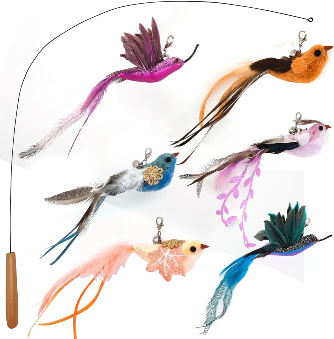 35" Steel Wire Cat Wand Toy and 6PCS Realistic Feather Bird Refills — Cat Wand Toy Birds