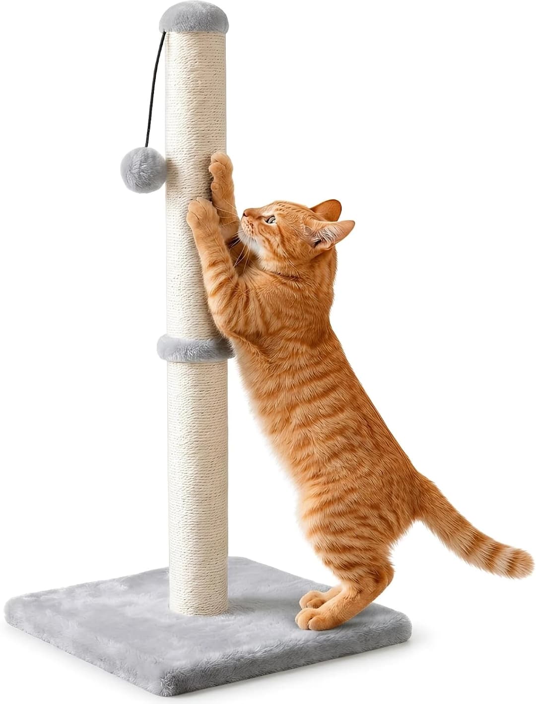 Tall Cat Scratching Post Tree Scratcher with Sisal Rope — Grey / 29 inches for All Cats