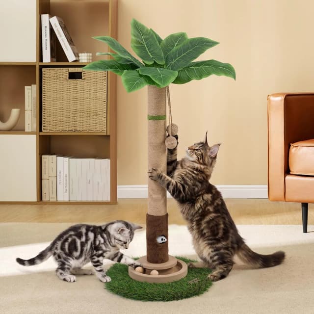 Tall Cat Scratching Post — Cat Toys