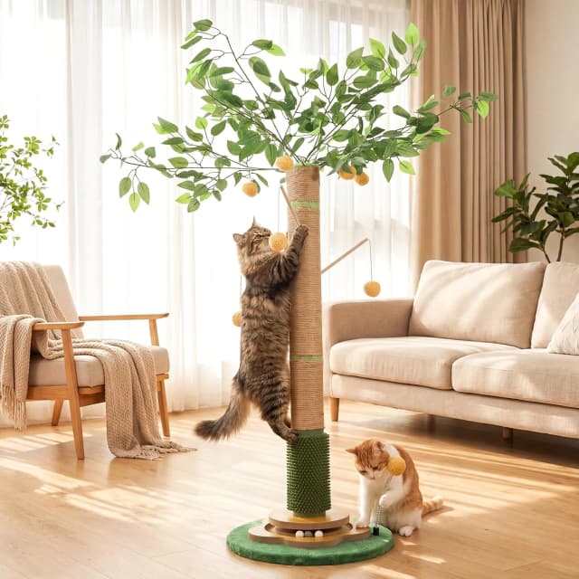 Tall Cat Scratching Post 51 Inch — Sisal Rope Cat Scratcher Tree