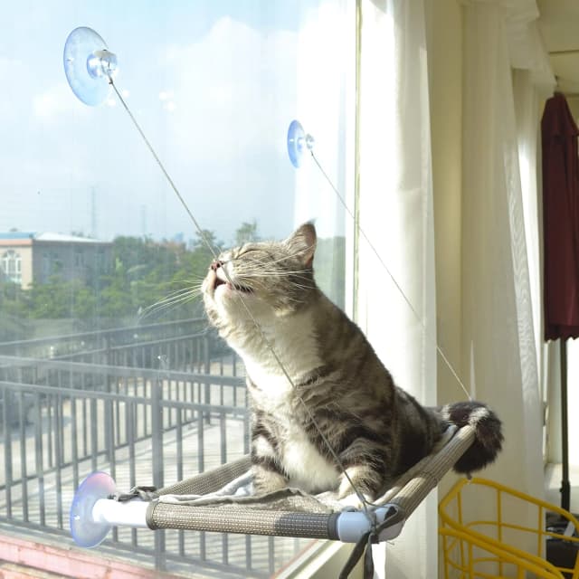 Cat Window Hammock – Mess-Free Waterproof Cats Window Perch for Large Cats