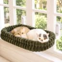 Cat Window Perch for Indoor Cats Hammock for Window with Reversible Cushion — Green / Large