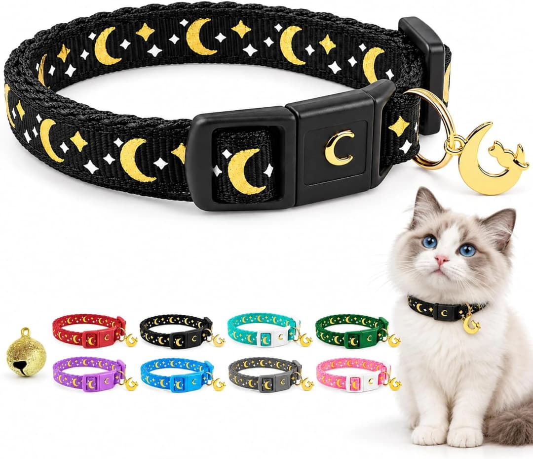 Breakaway Cat Collar with Bell for Kittens and Cats — Black / 9-15 Inch (Pack of 1)