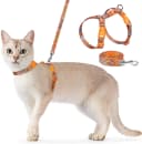 Cat Harness and Leash Set — Adjustable Pet Straps
