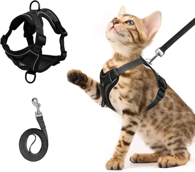 Cat Chest Harness and Leash Set Adjustable Anti-Escape Soft Mesh Cat Vest for Walking Outdoor(Blcak