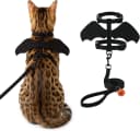 Cat Harness and Leash with Bat Wings Escape Proof Adjustable — Black / S