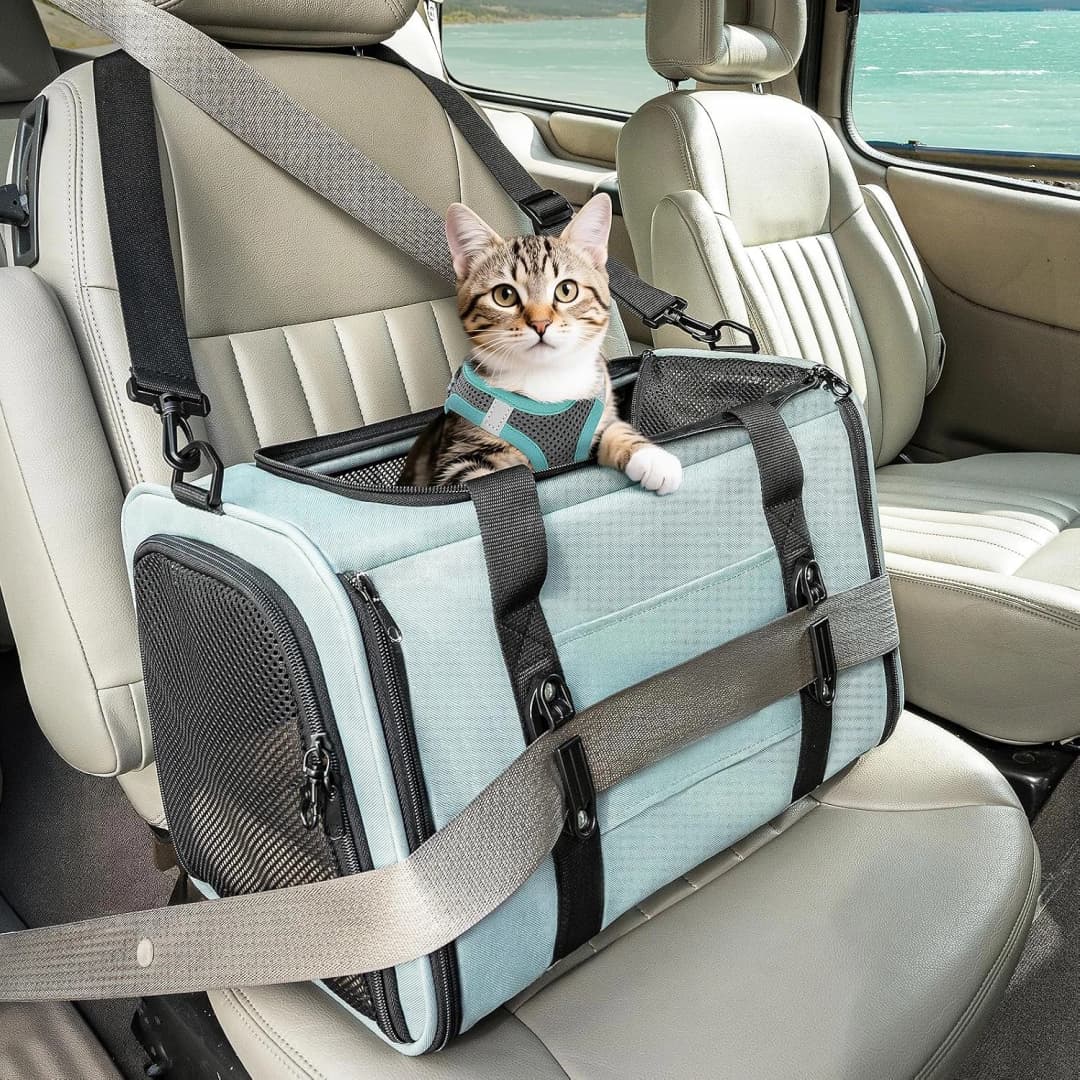 Cat Carrier Soft with Safety Buckles — 18.0"L x 11.0"W x 11.0"H / Cyan blue