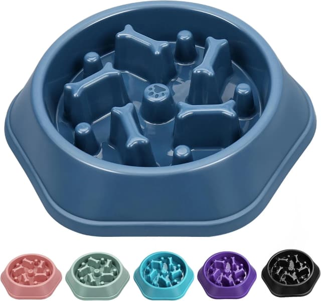 Slow Feeder Dog Bowl — Anti-Chocking Slower Feeding Pet Puzzle Bowls