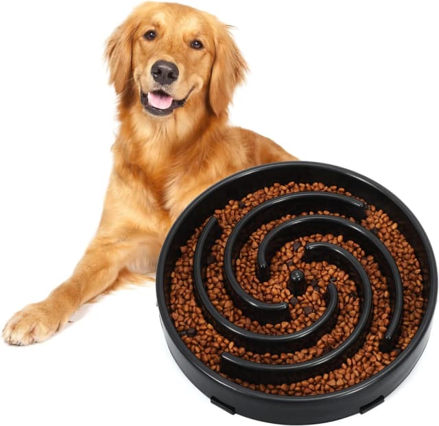 Slow Feeder Dog Bowls for Large Medium Dog Non Slip Maze Puzzle Bowl Pet Slower Food Feeding Dishes Interactive