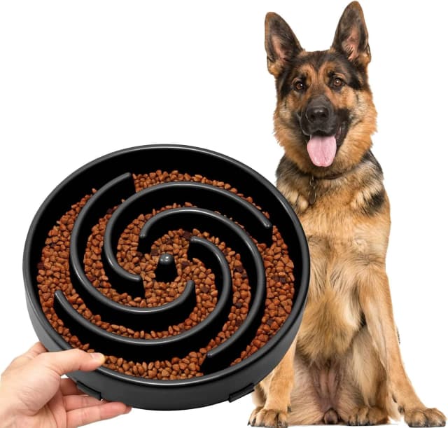 Slow Feeder Dogs Bowl for Large Medium Dogs
