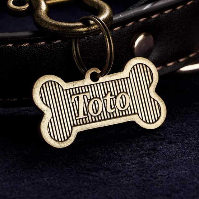 Personalized Brass Bone Shapes Dog Tag — Custom Engraved Pet Name ID Tag