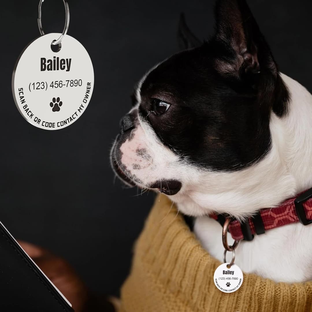 Personalized Stainless Steel QR Code Pet ID | Dog and Cat Collar Tag | Online Profile | Scanned Location Alert — Custom Text Pro,silver