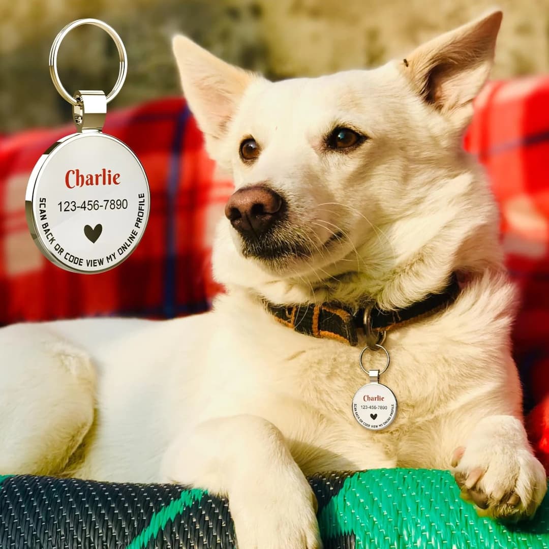 Personalized QR Code Pet ID | Dog and Cat Collar Tag | Online Profile with Instant Scanned Location Alert Email — Custom Text Pro,white