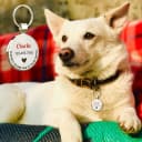 Personalized QR Code Pet ID | Dog and Cat Collar Tag | Online Profile with Instant Scanned Location Alert Email — Custom Text Pro,white