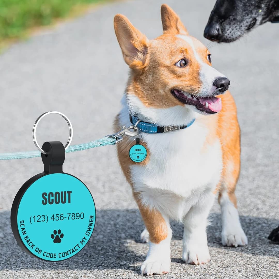 Silent Silicone QR Code Pet ID | Personalized Dog and Cat Collar Tag | Online Profile with Scanned Location — Custom Text Pro,blue
