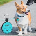 Silent Silicone QR Code Pet ID | Personalized Dog and Cat Collar Tag | Online Profile with Scanned Location — Custom Text Pro,blue