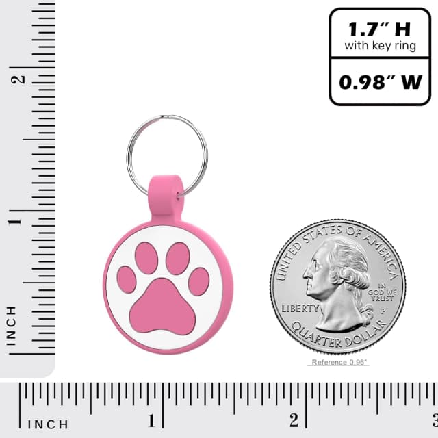 QR Code Cat Tag — Modifiable Pet Online Profile Page