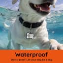 Silent ABS Dog ID Tag with QR Code - Classic Black - No App Required Smart Pet Tag — Black