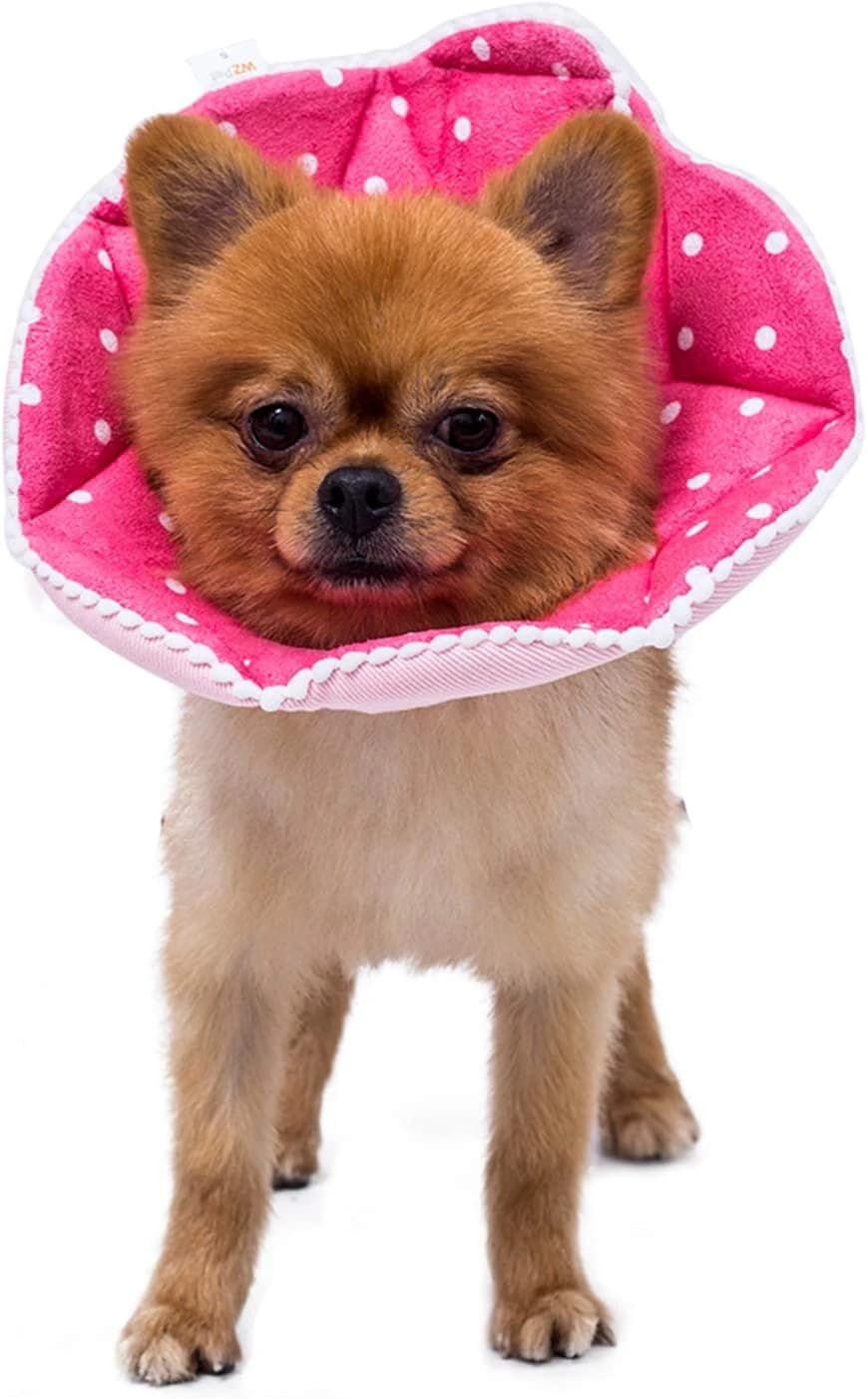 Adjustable Dog and Cat Cone — Soft Recovery Cat Cone Collar