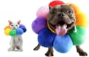 Adjustable Pet Recovery Collar — S