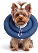 Soft Dog Cones — Recovery Dog Donut Collar After Surgery- Cone of Shame Alternative