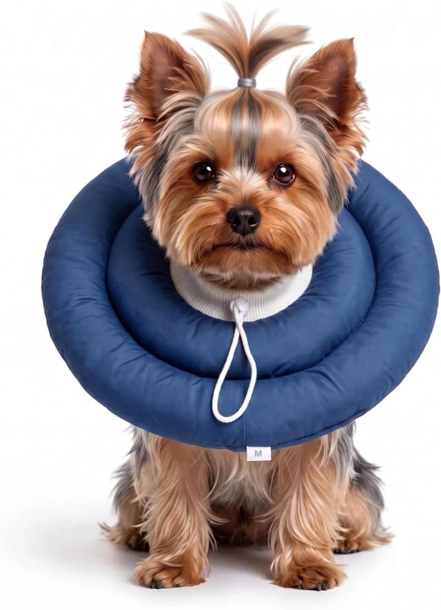 Soft Dog Cones — Recovery Dog Donut Collar After Surgery- Cone of Shame Alternative