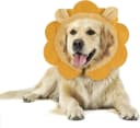 Inflatable Recovery Dog Collar — Brown Lion / Large (Neck:14''-17'')