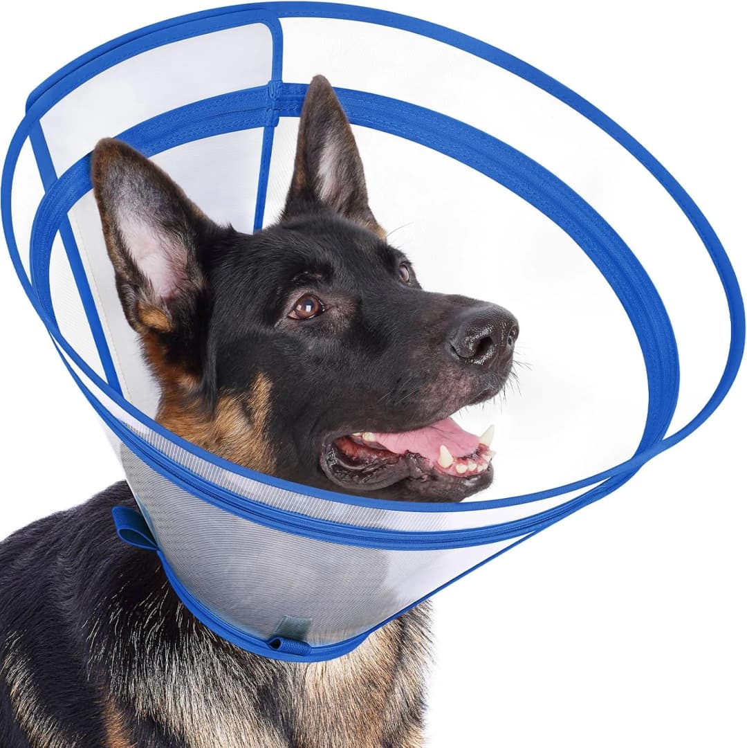 Dog Cone to Stop Licking — Clear Recovery Collar with Detachable Zipper — Blue / XL(Neck: 16.5"-20.5")