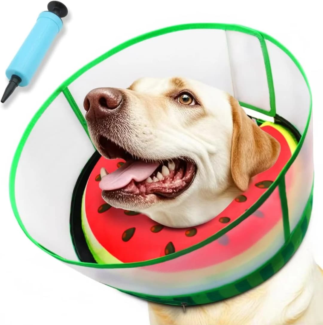 Upgraded Inflatable Dog Cone Collar to Stop Licking — Soft Dog Donut Collar — L (Neck: 14-18") / Watermelon