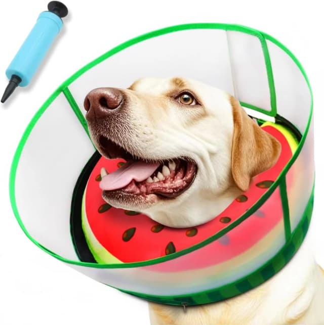 Upgraded Inflatable Dog Cone Collar to Stop Licking — Soft Dog Donut Collar
