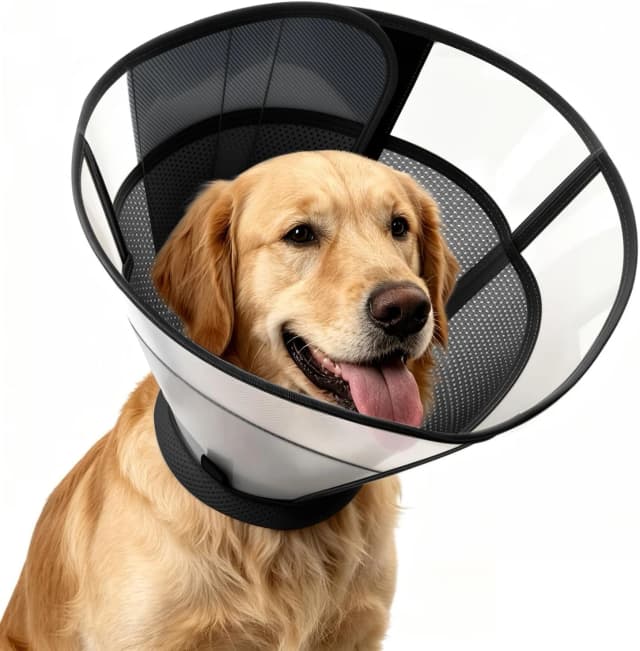 Dog Cone to Stop Licking — Soft Dog Cone Collar Alternative After Surgery