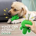 Cactus Dog Chew Toy for Aggressive Chewers