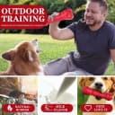 Dog Squeaky Toys for Aggressive Chewers