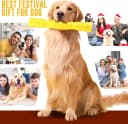 Dog Squeaky Toys Interactive Dog Toys for Aggressive Chewers Tough Rubber Chew Toys for Medium/Large Breed