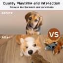 Dog Squeaky Toys — 5 PCS Crinkle Plush Dog Toys