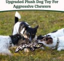 No Stuffing Dog Toys Crinkle Squeaky
