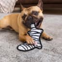 No Stuffing Dog Toys Crinkle Squeaky